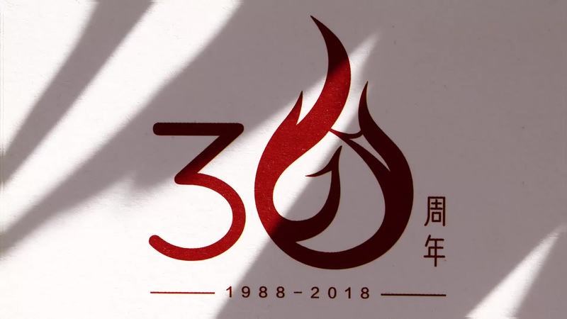 雅莹集团30周年